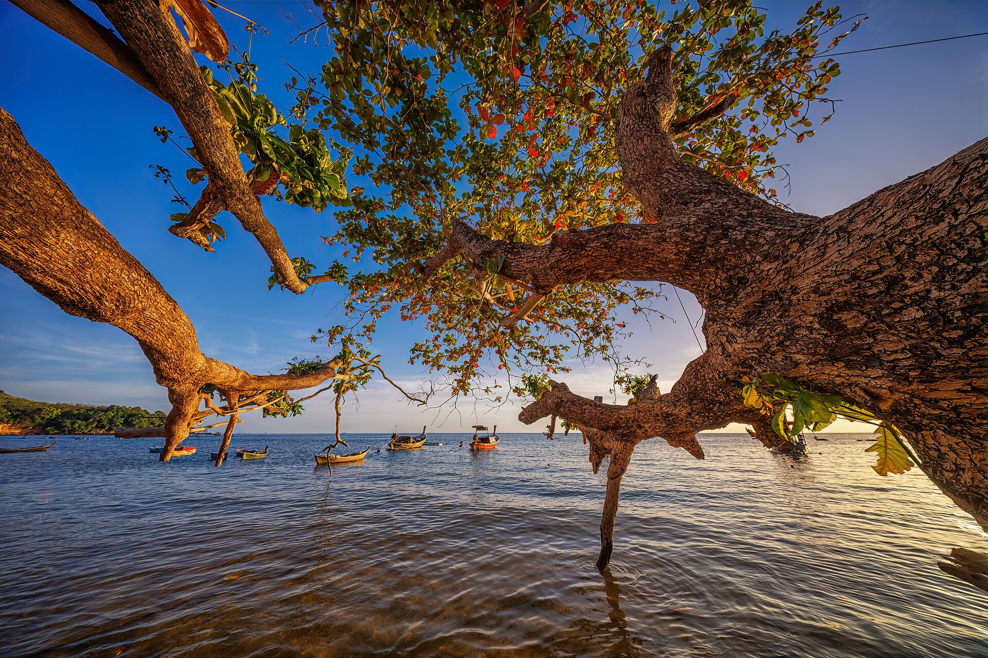 Thai longtail boat island