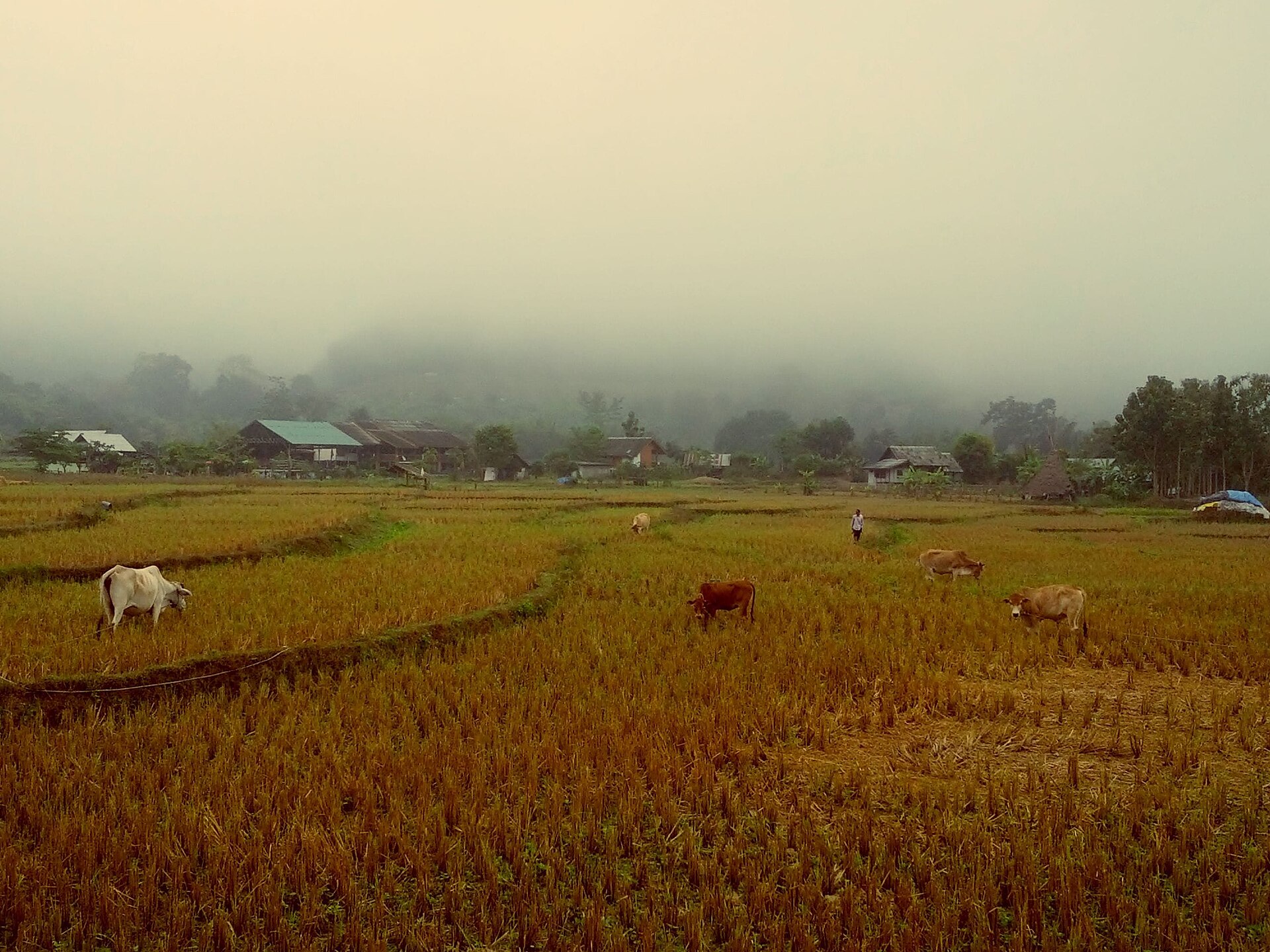 Pai Thailand countryside